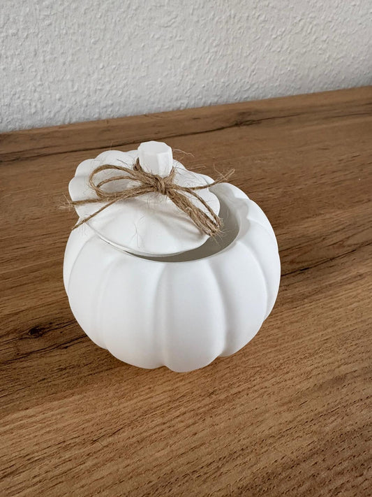 Dekokürbis mit Deckel